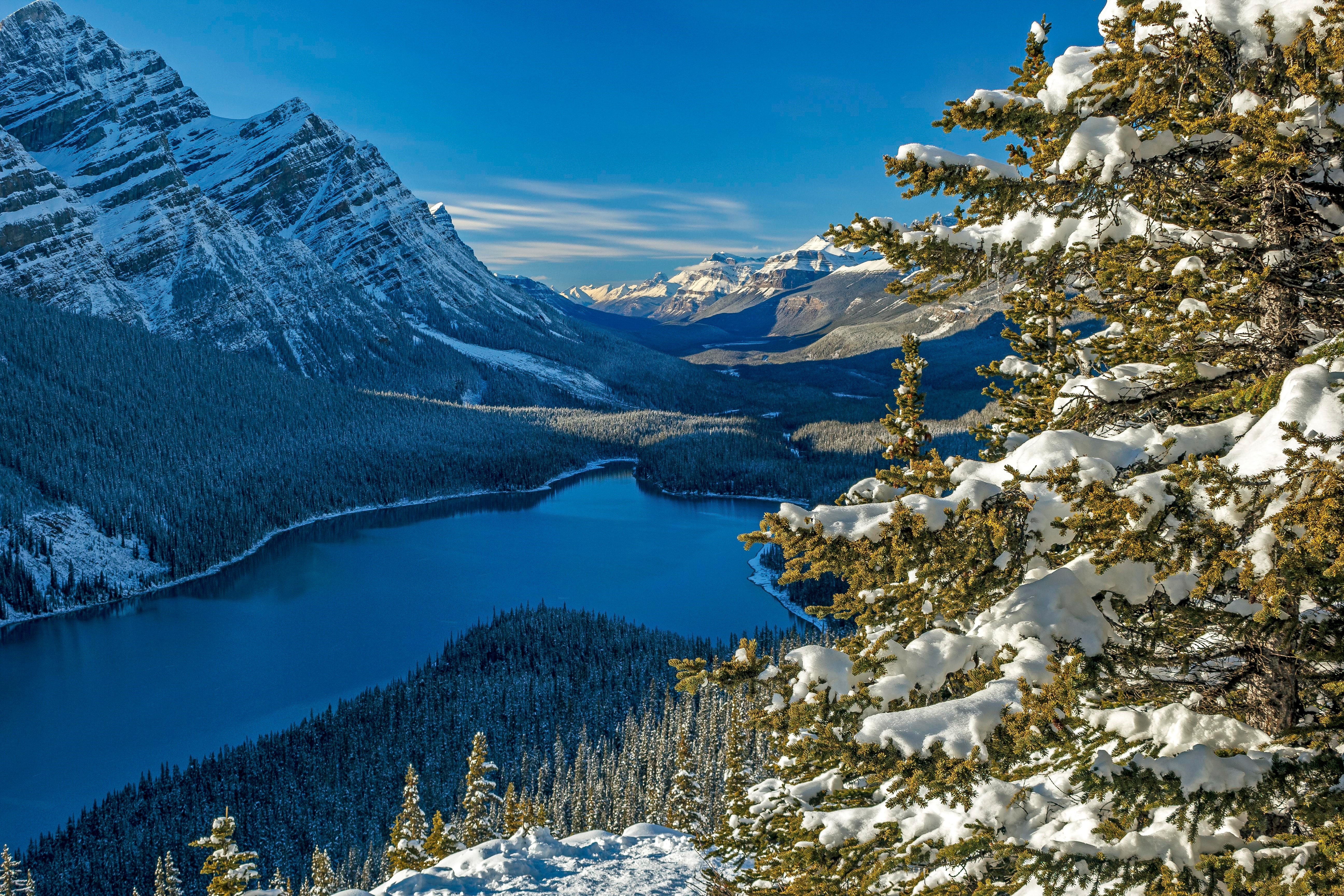 Peyto Lake 4K Wallpapers