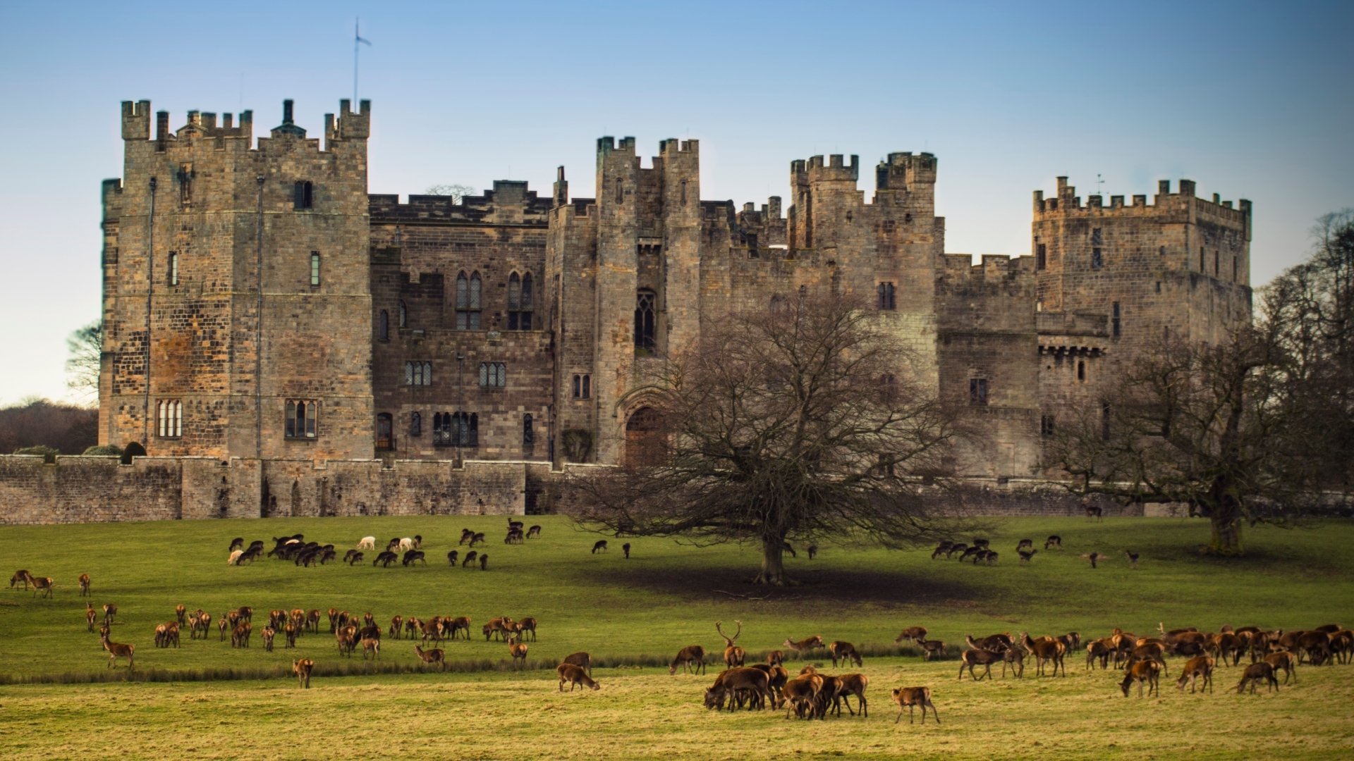 Raby Castle Wallpapers