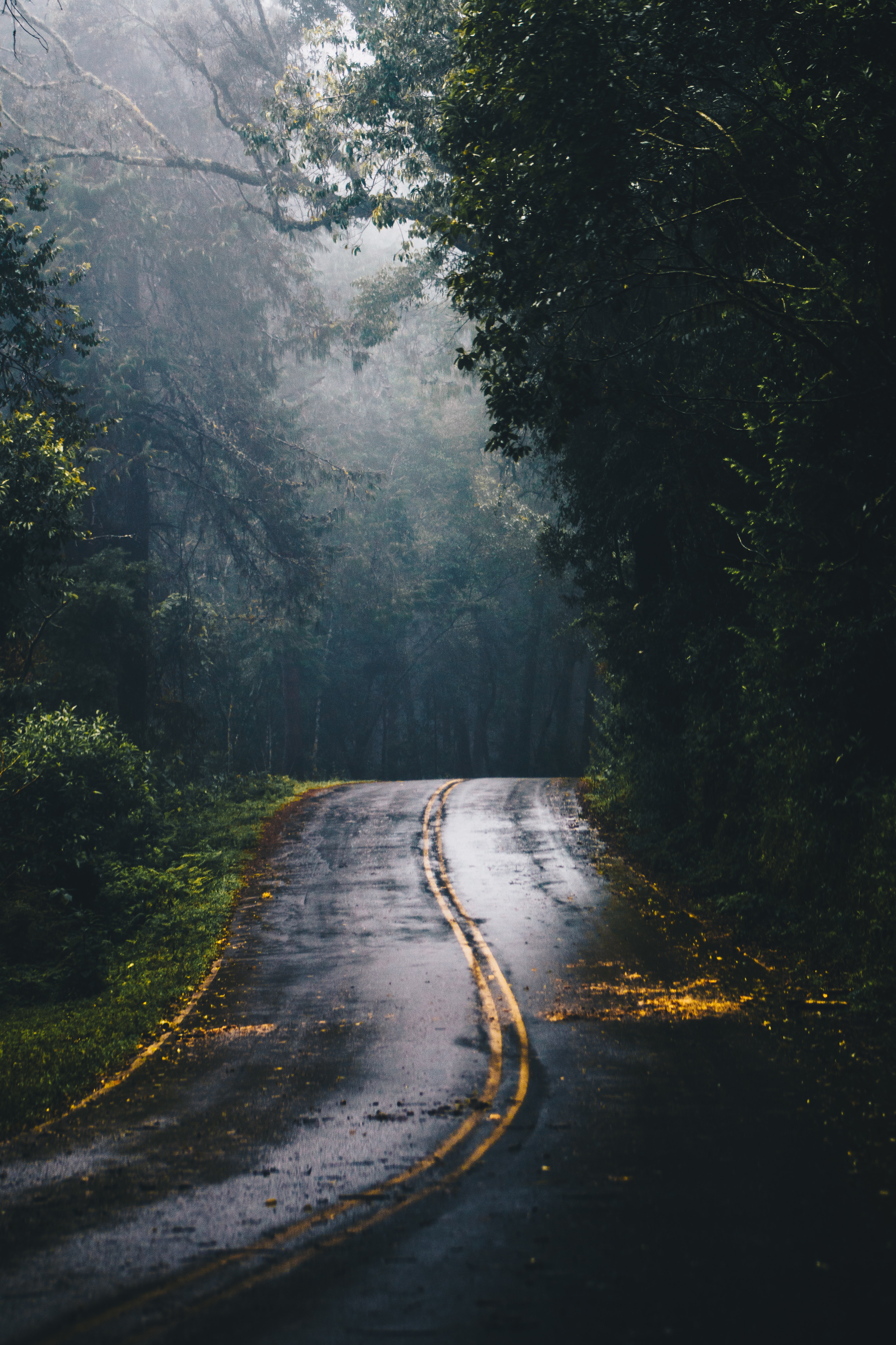 Road Wallpapers