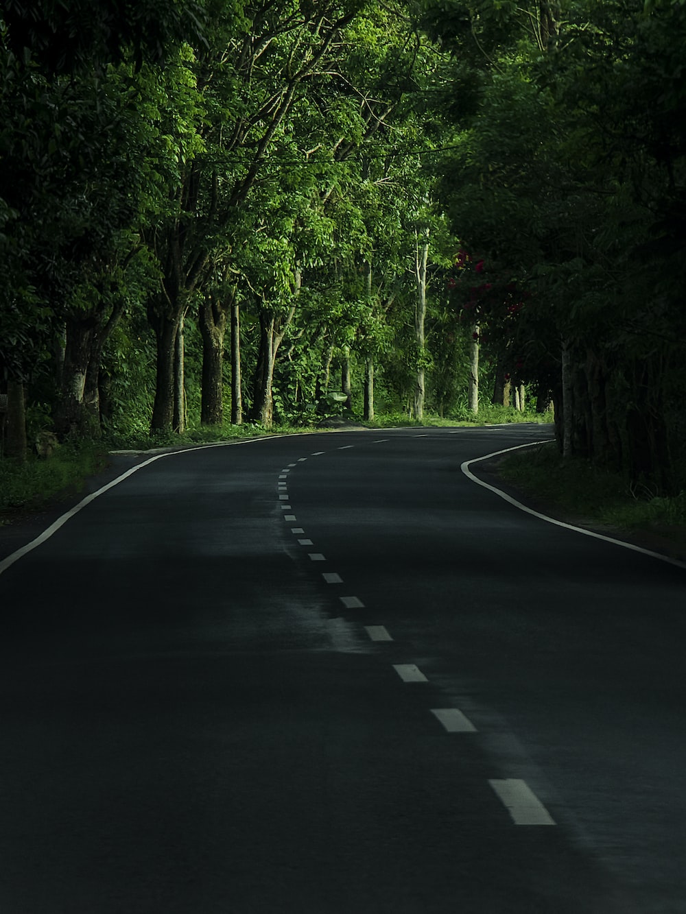 Road Wallpapers