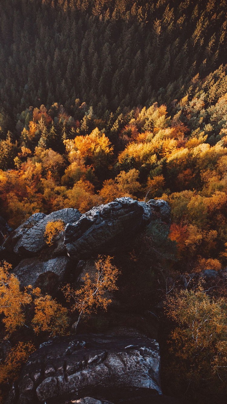 Saxon Switzerland Wallpapers