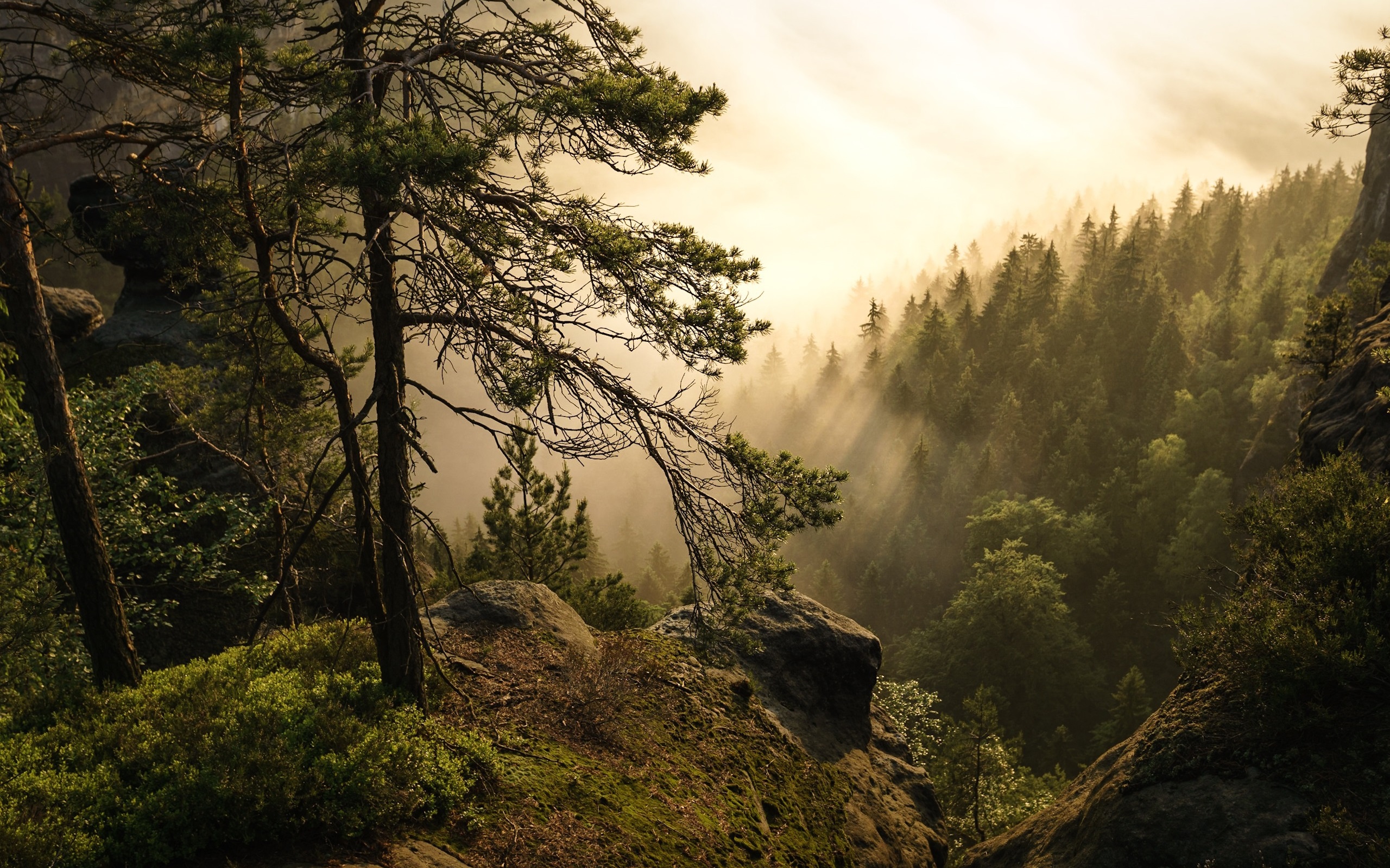 Saxon Switzerland Wallpapers