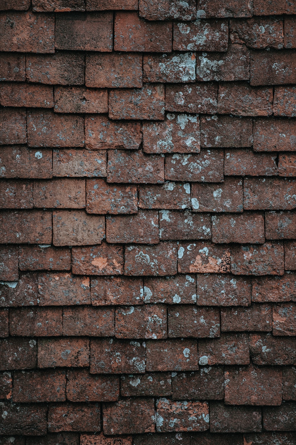 Shingles Wallpapers