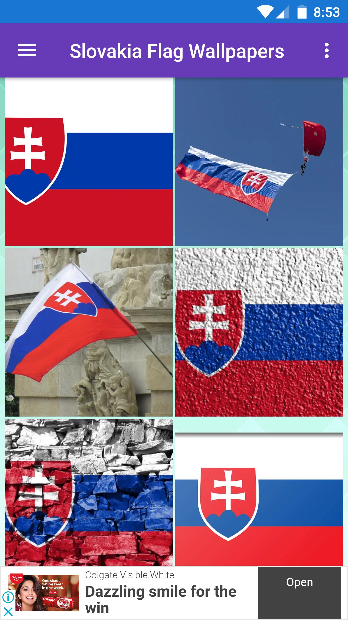 Slovakia Flag Wallpapers