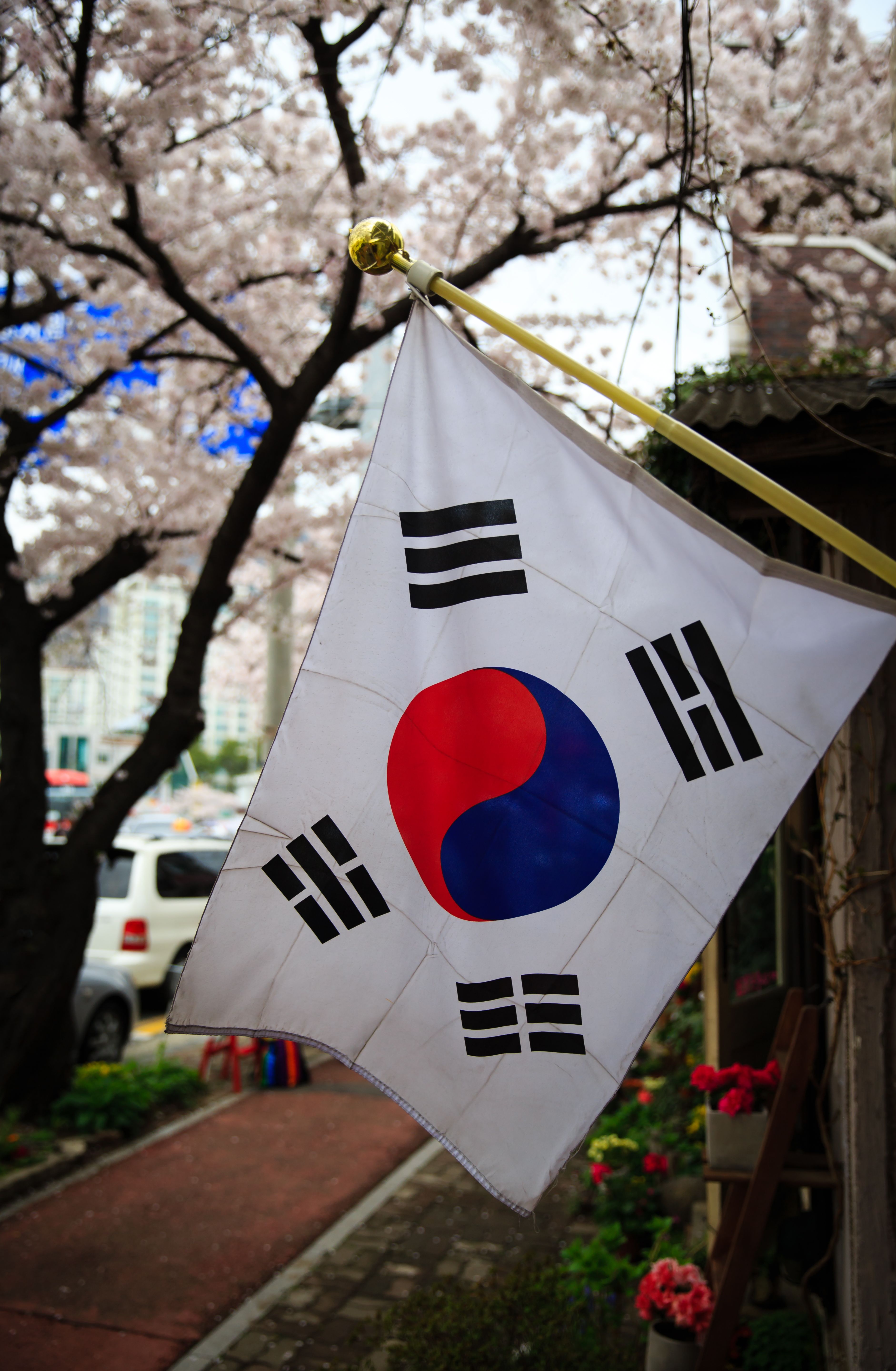 South Korea Flag Wallpapers