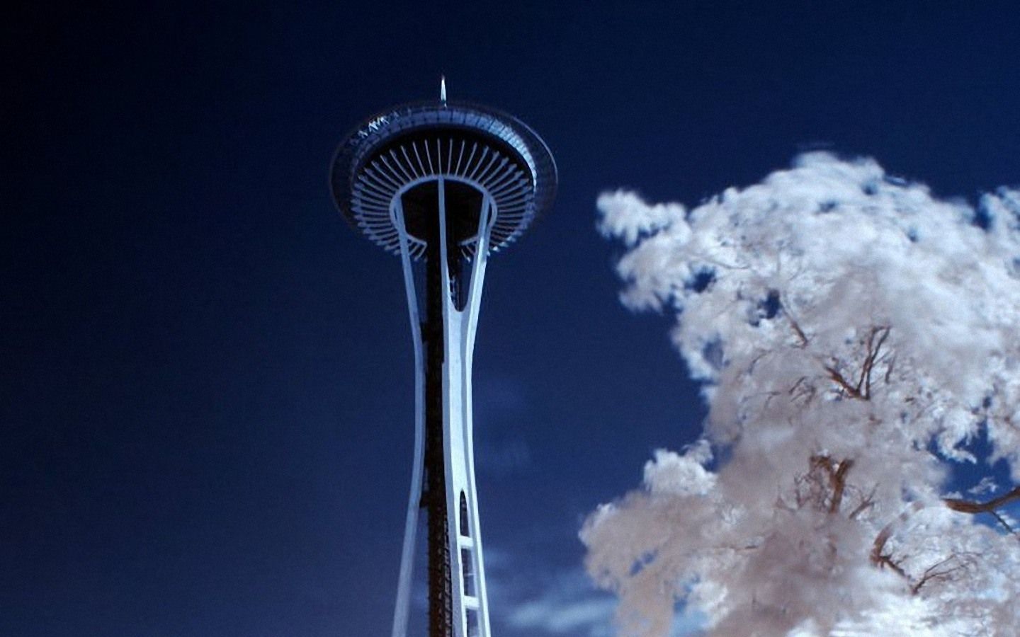 Space Needle Wallpapers