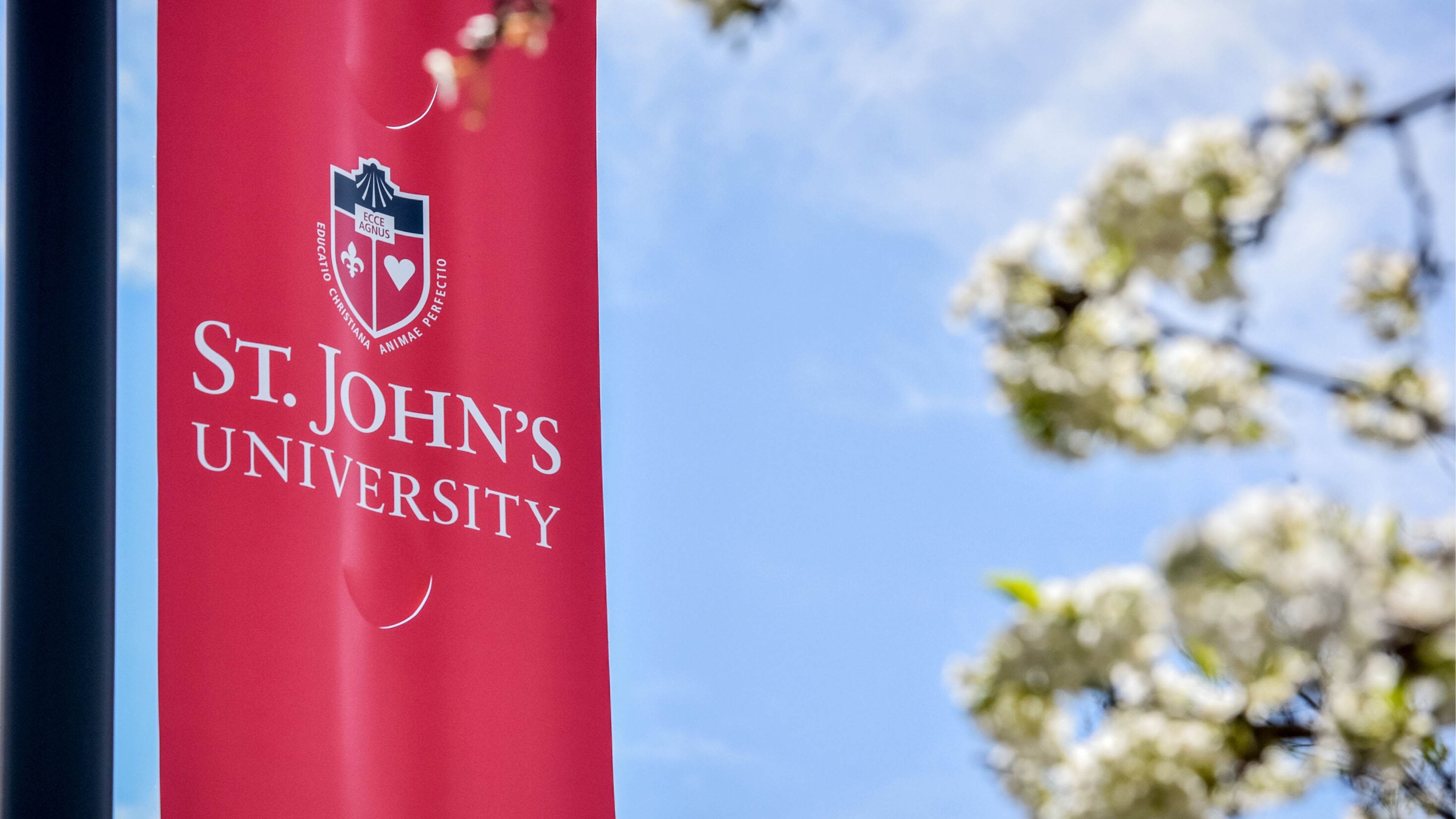 St. John'S University Wallpapers