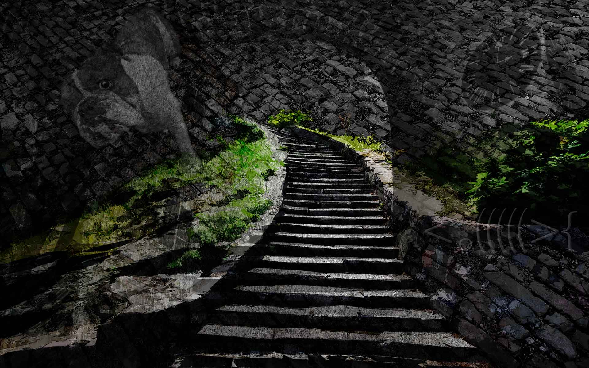 Stairs Wallpapers