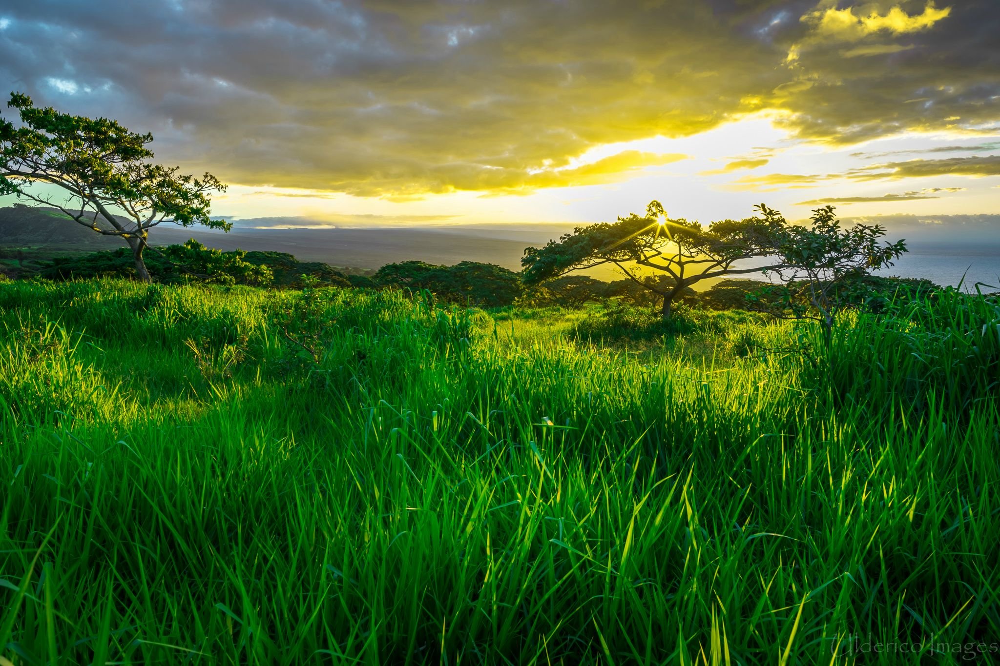 Sunrise In Hawaii Wallpapers