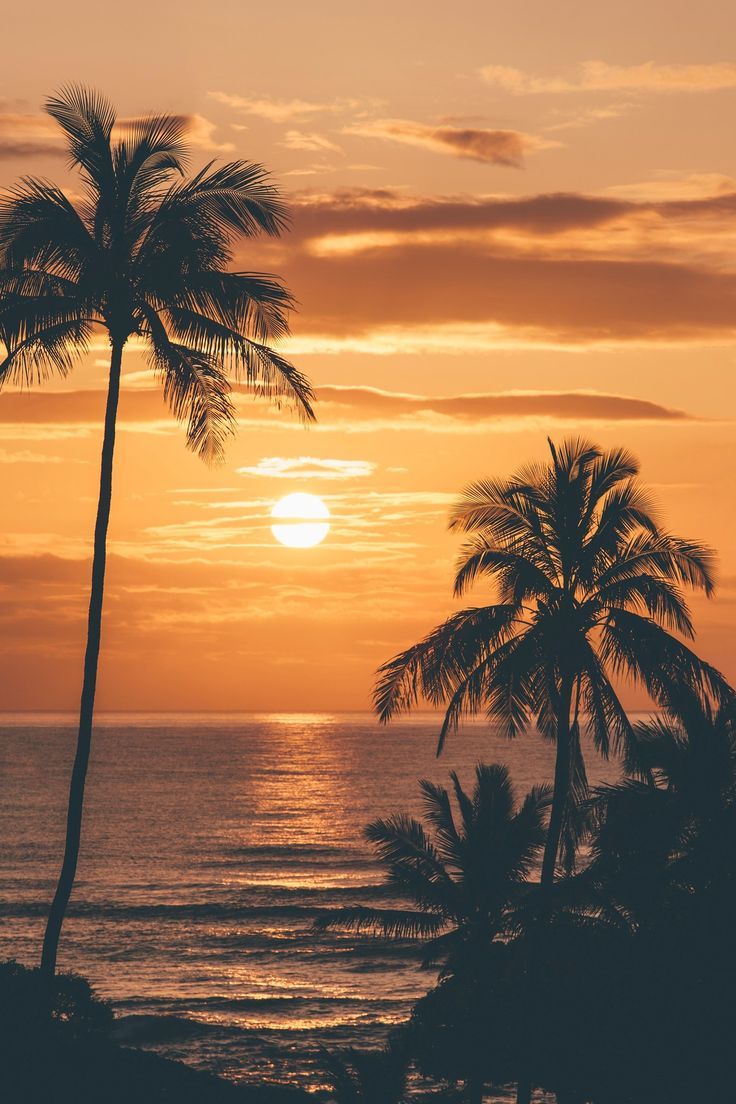 Sunrise In Hawaii Wallpapers