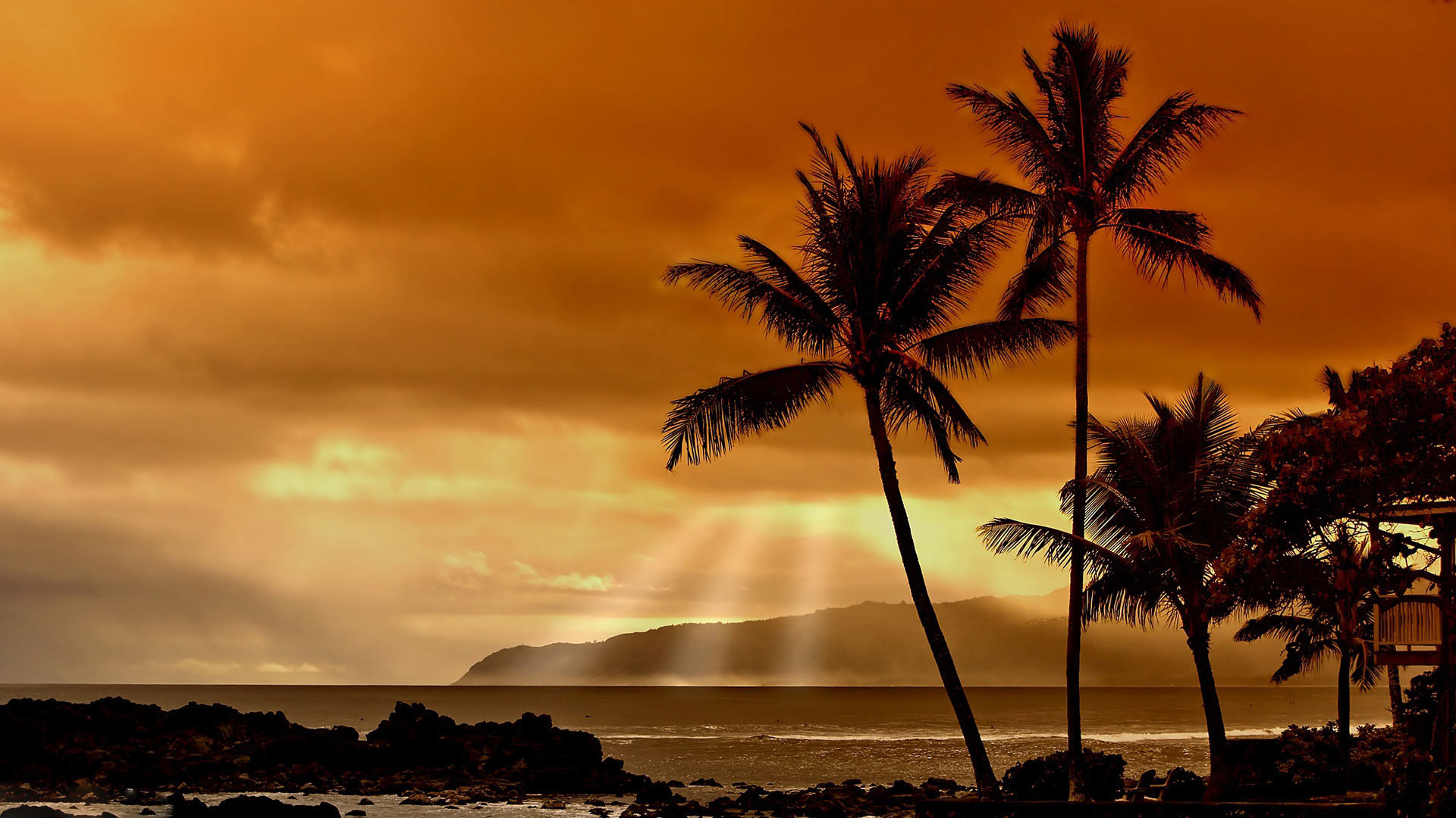 Sunrise In Hawaii Wallpapers