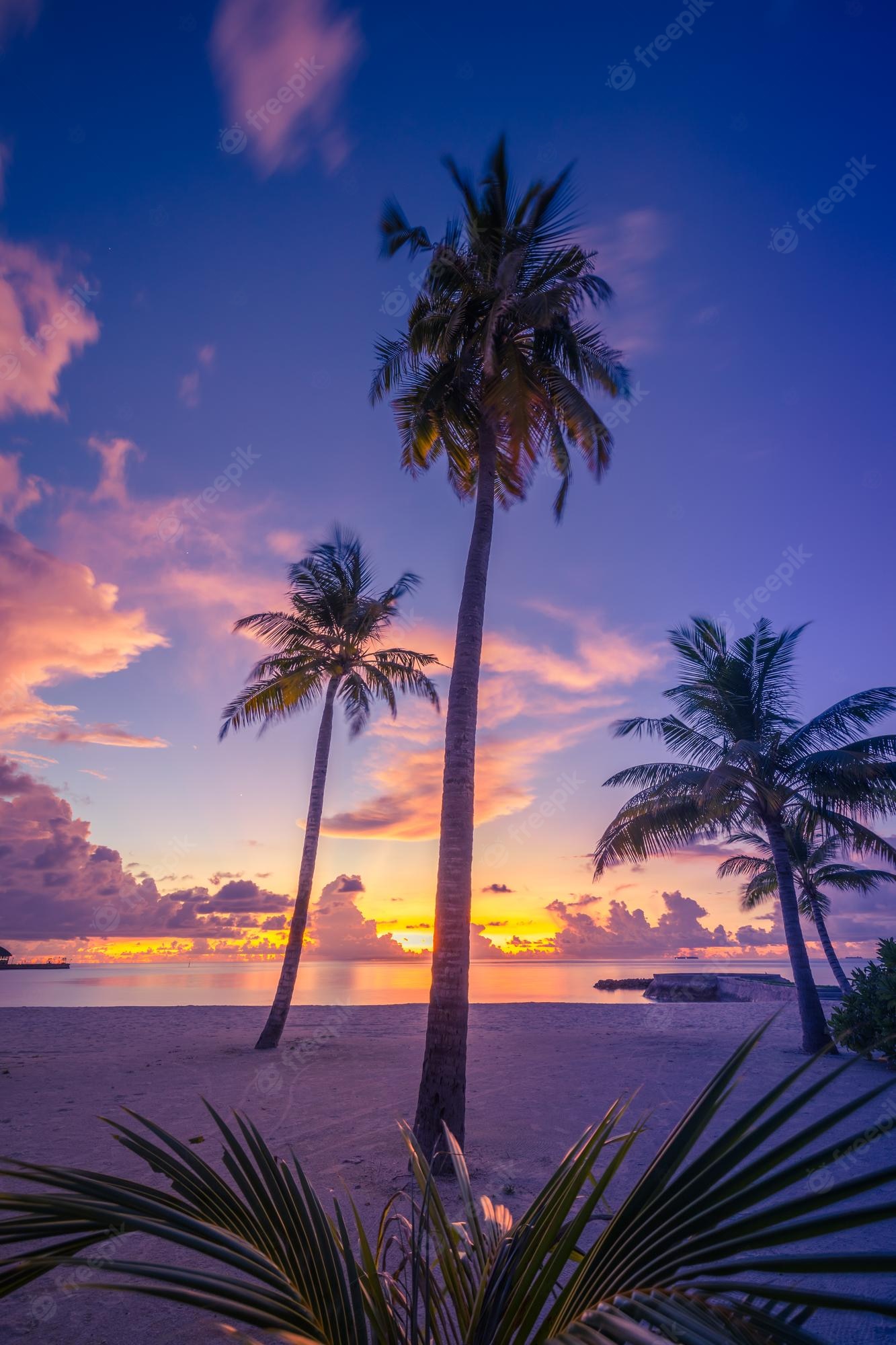 Sunrise In Hawaii Wallpapers