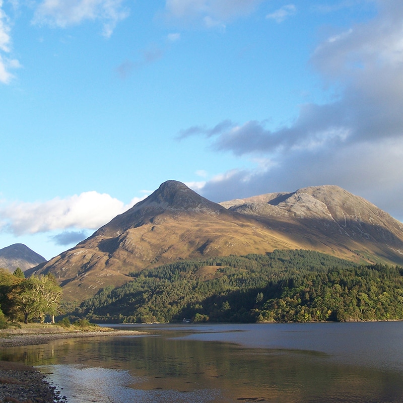 The Great Shepherd Of The Glens In Glencoe Wallpapers