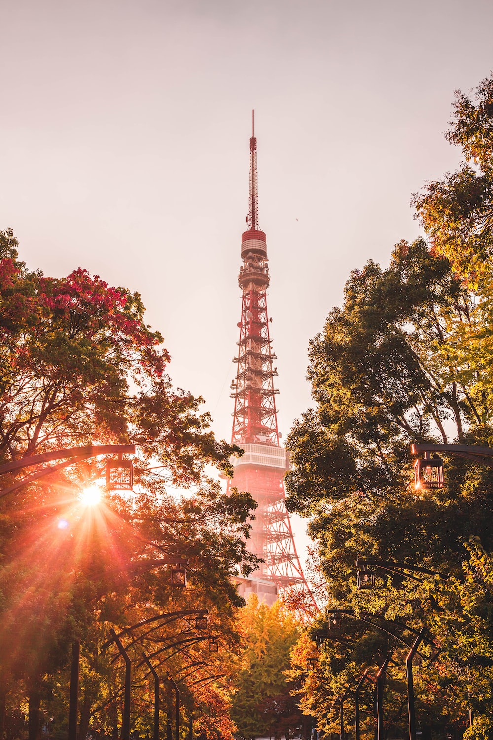 Tokyo Tower Wallpapers