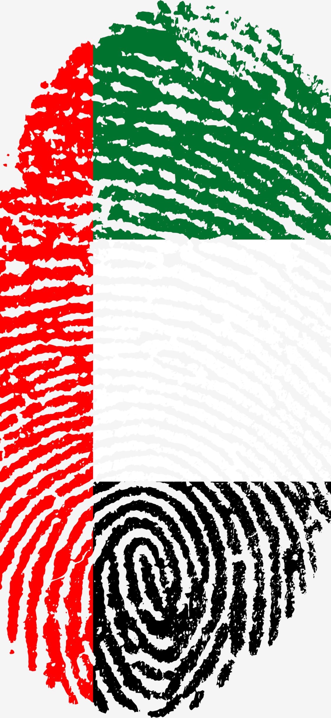 United Arab Emirates Flag Wallpapers