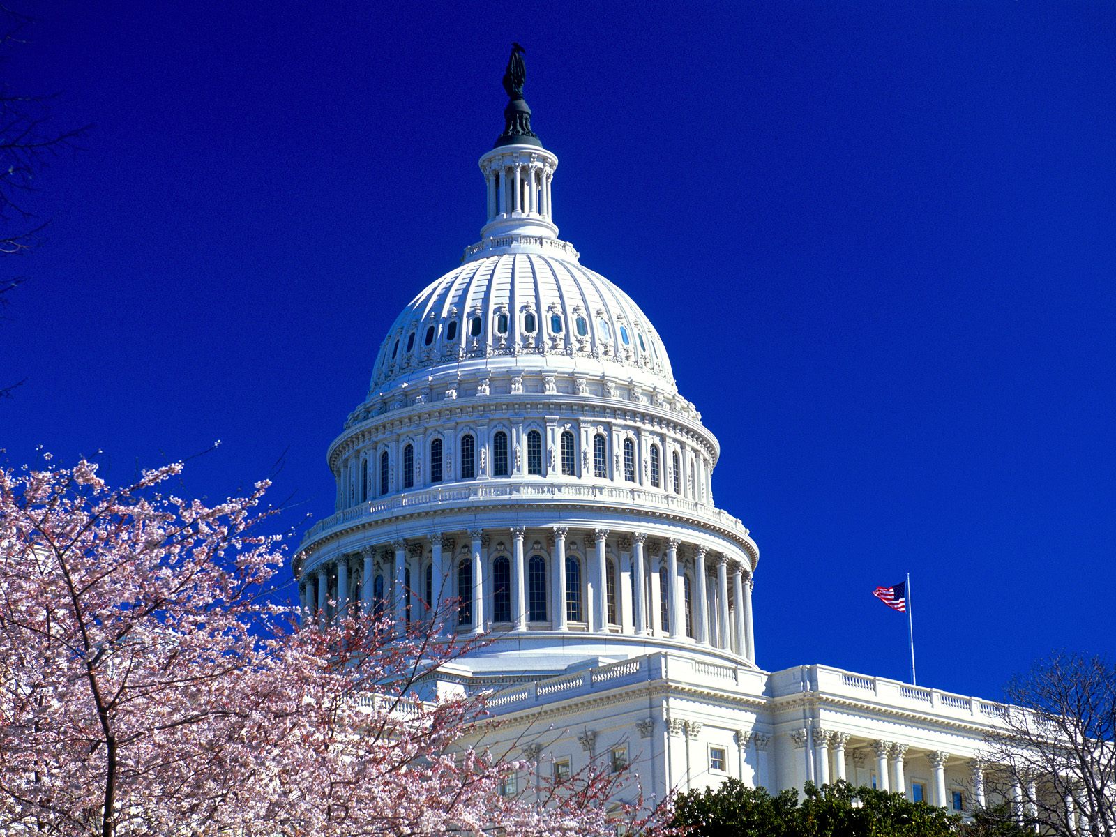 United States Capitol Wallpapers