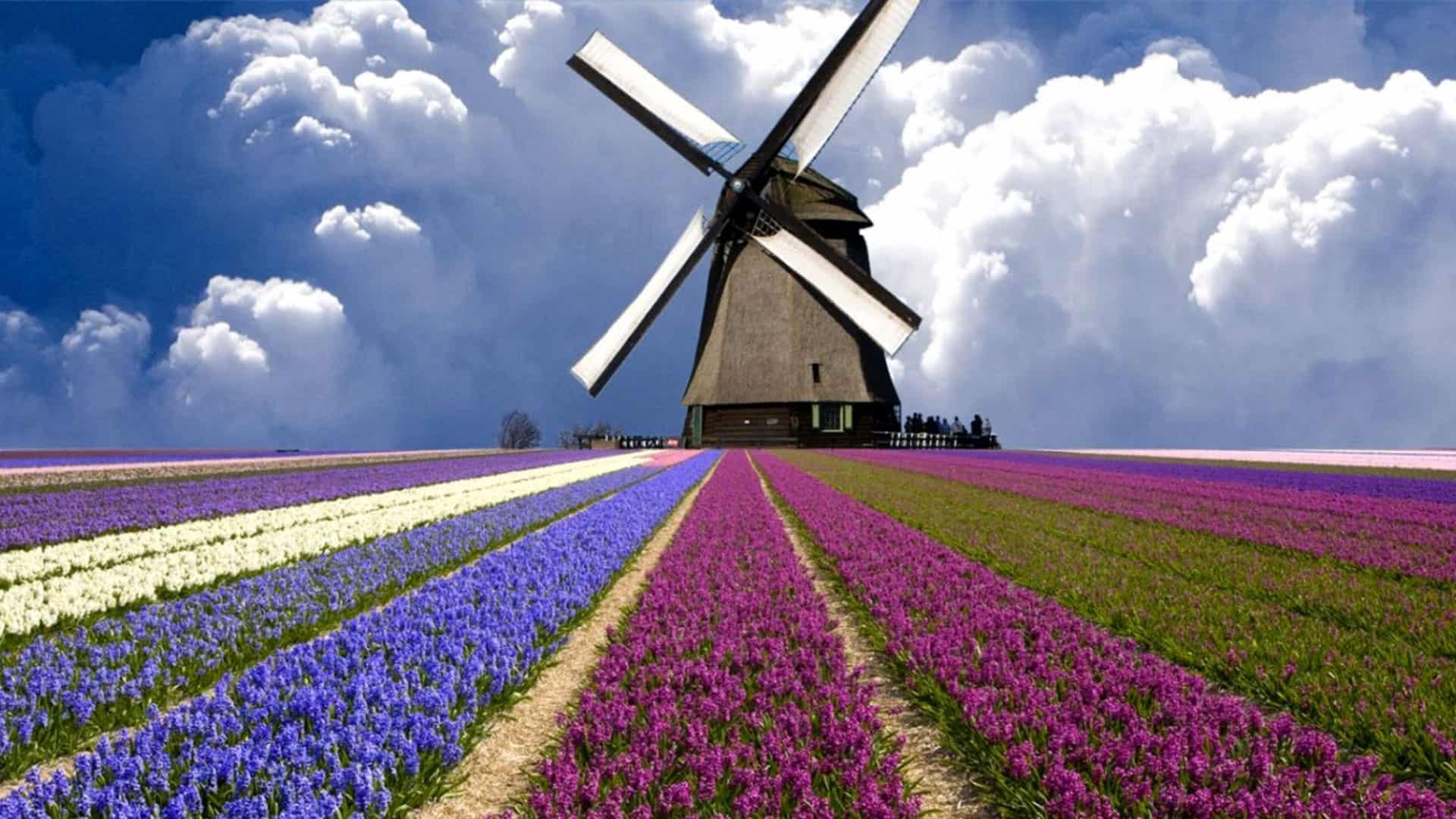Windmill Wallpapers