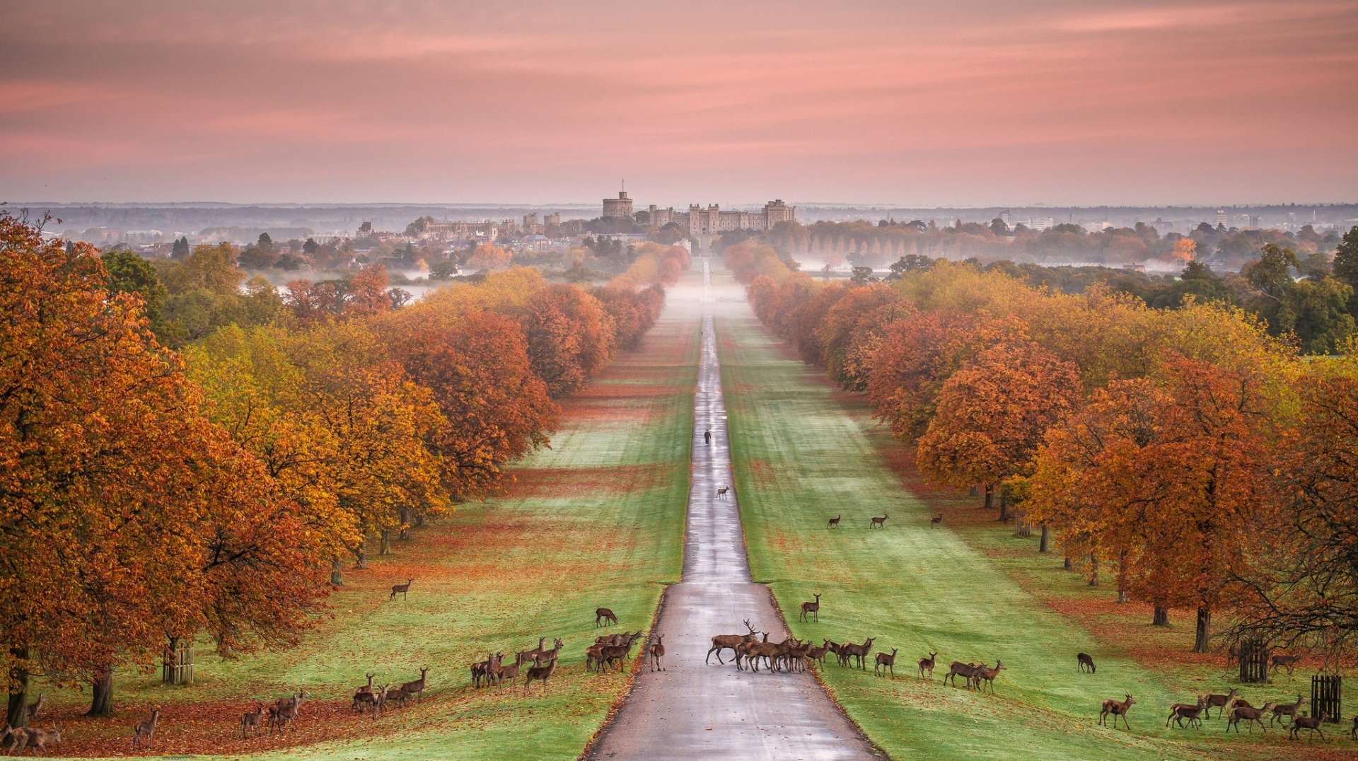 Windsor Castle Wallpapers