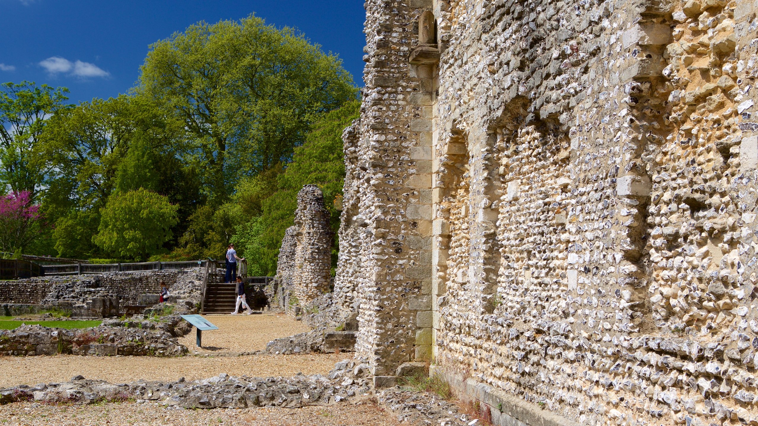 Wolvesey Castle Wallpapers