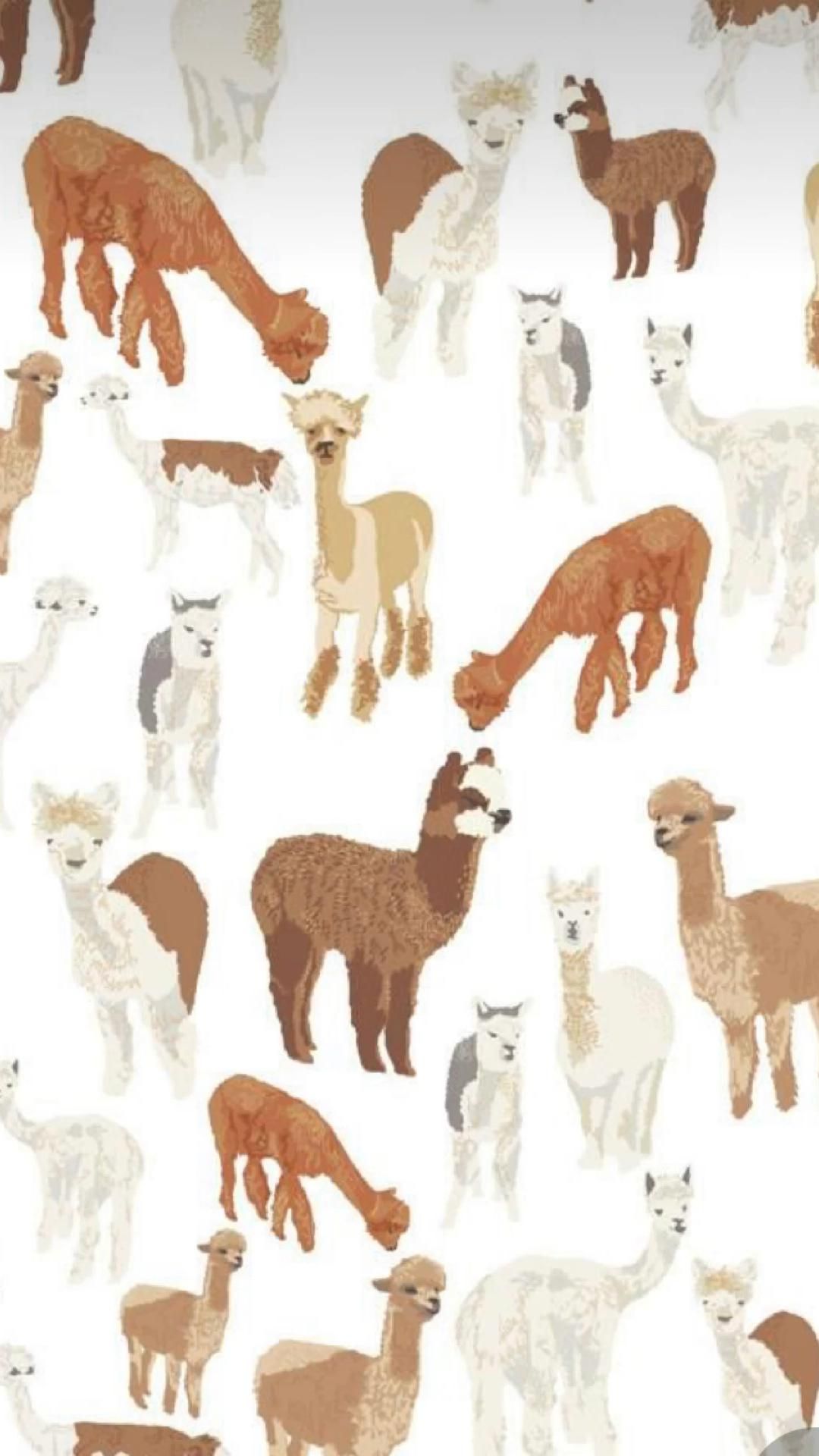 Alpaca Wallpapers