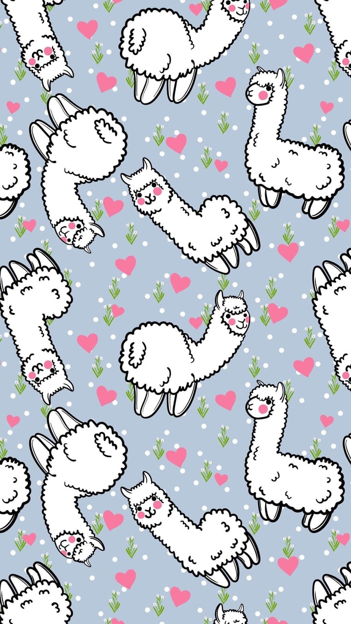 Alpaca Wallpapers