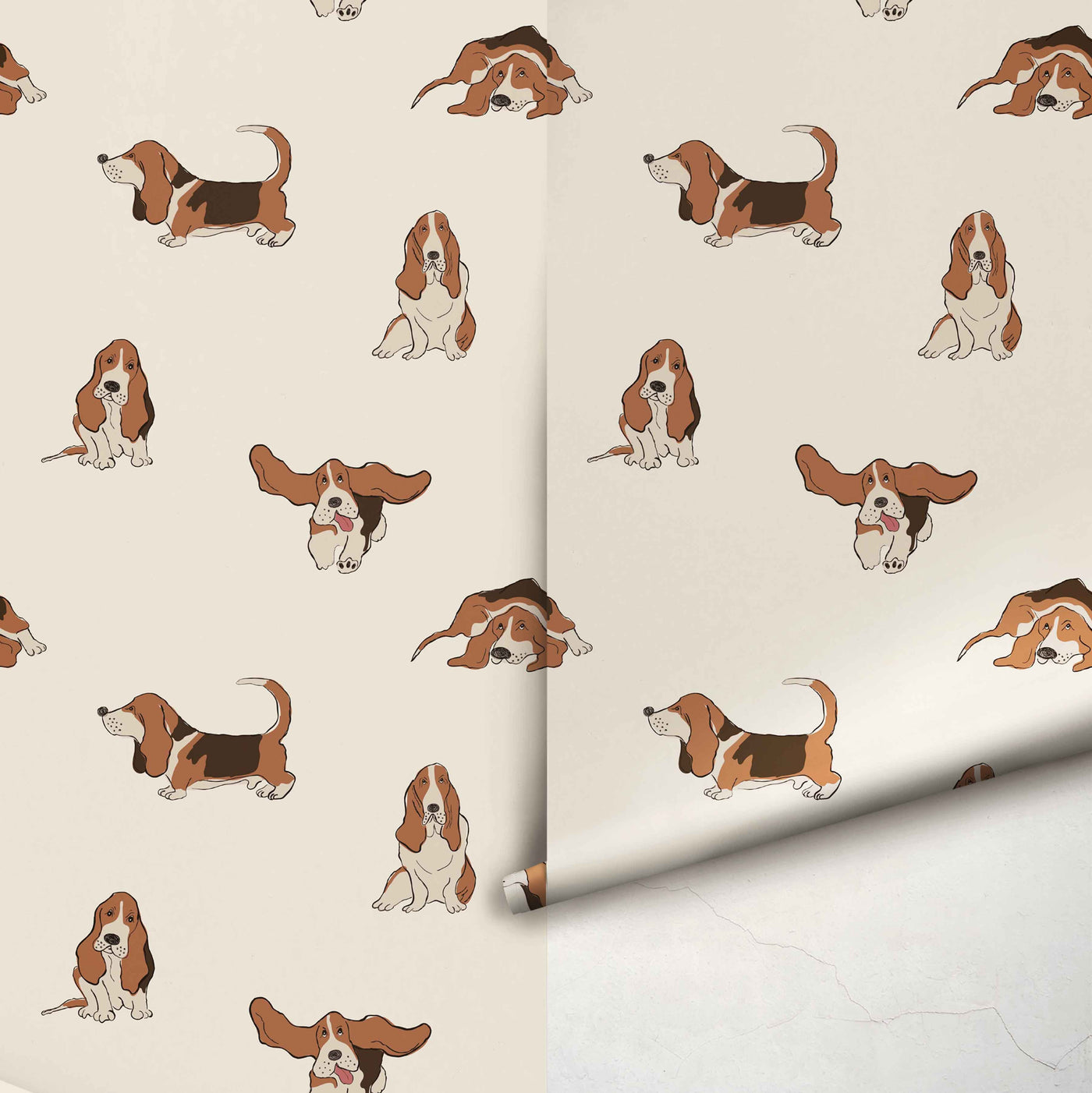 Basset Hound Wallpapers