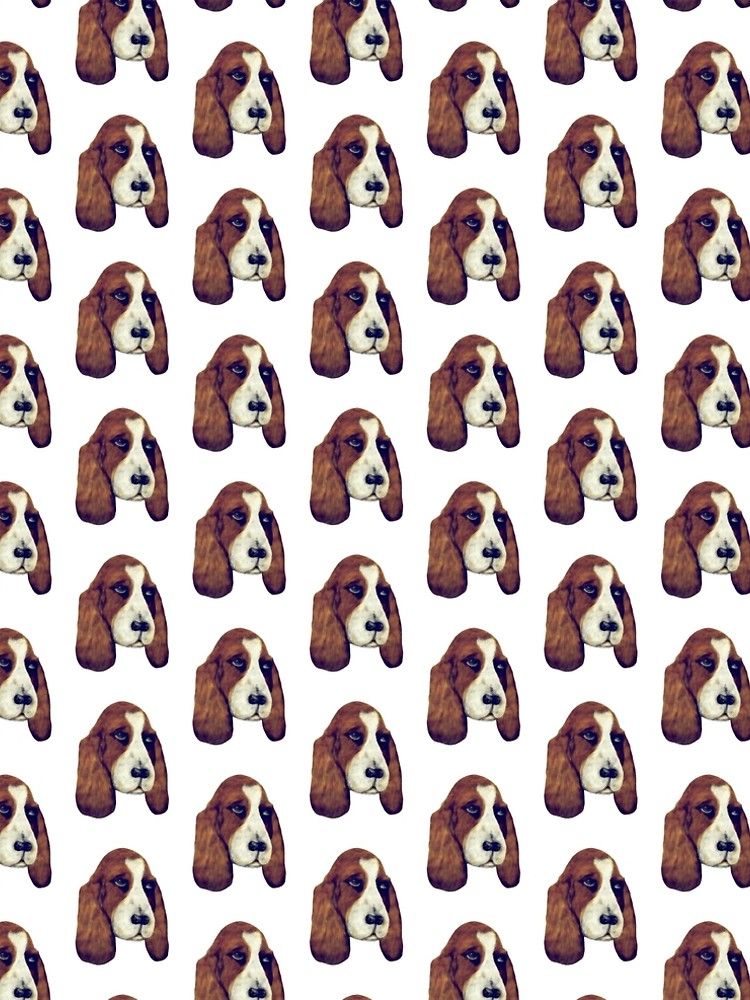 Basset Hound Wallpapers