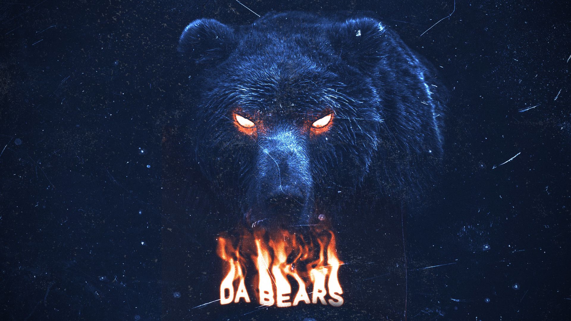 Bear Wallpapers