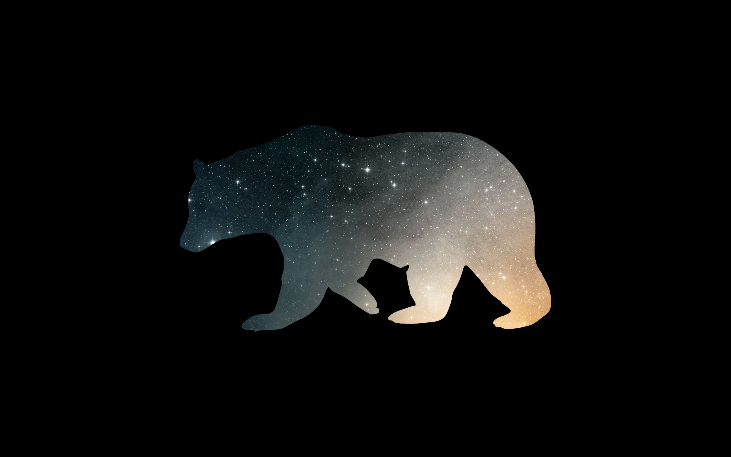 Bear Wallpapers