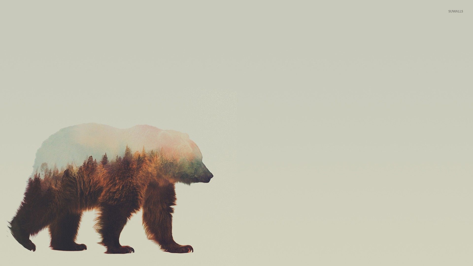 Bear Wallpapers