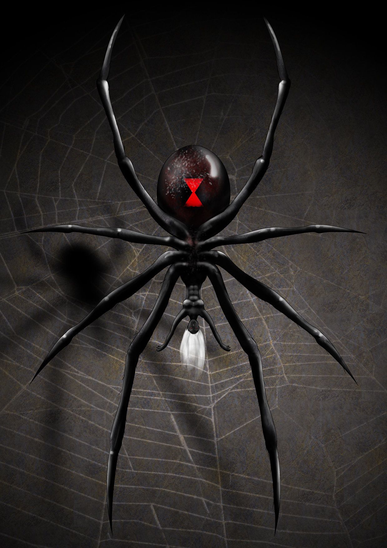 Black Widow Spiders Wallpapers