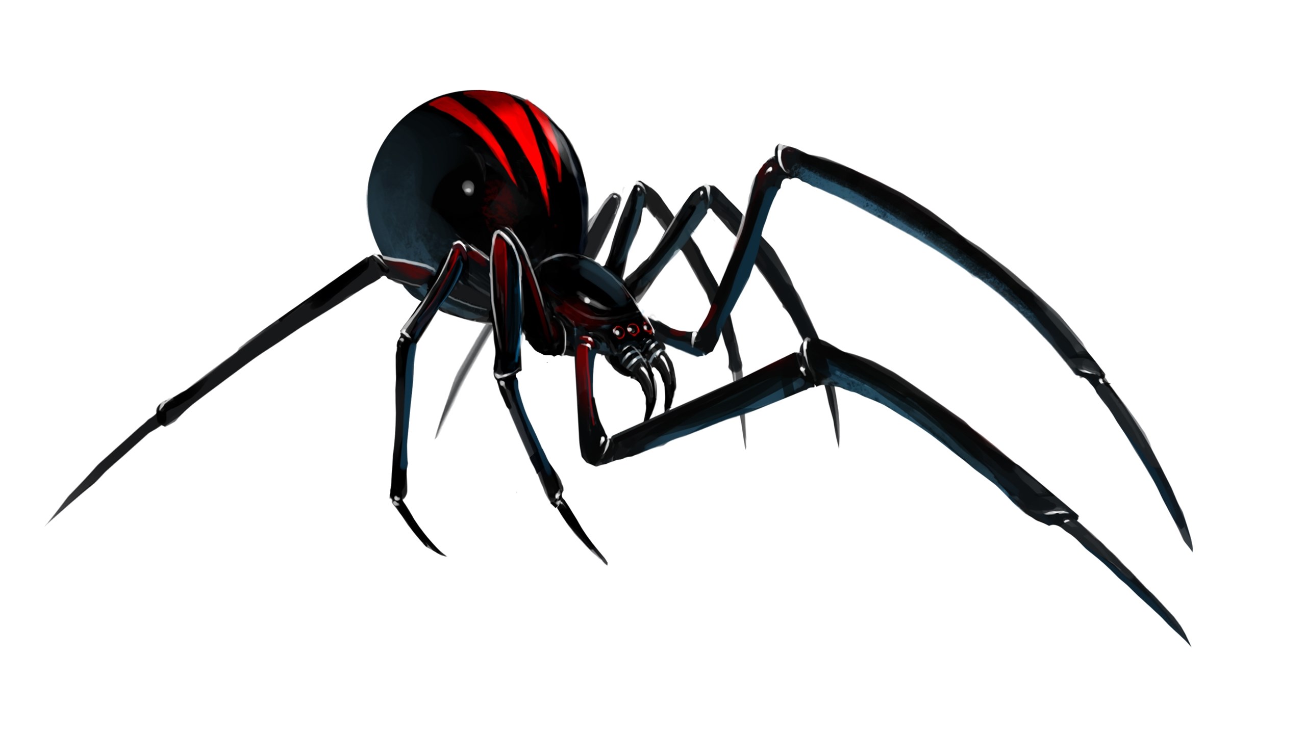 Black Widow Spiders Wallpapers