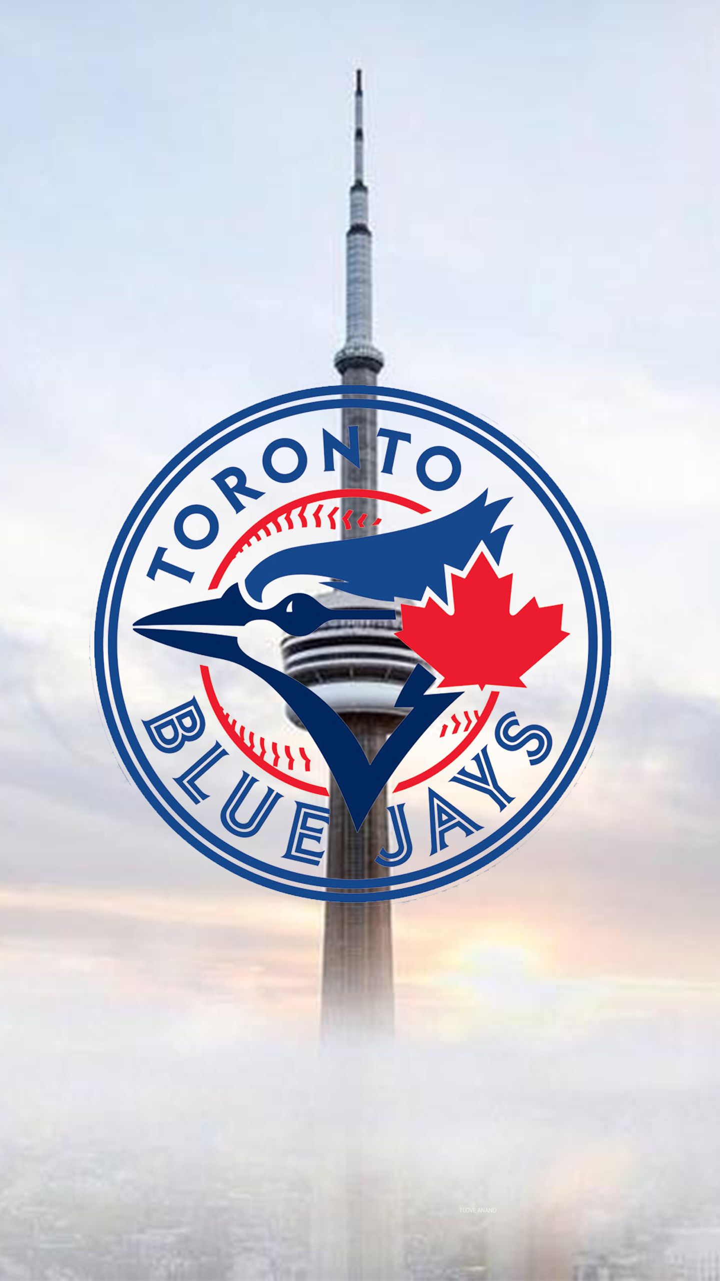 Blue Jay Wallpapers