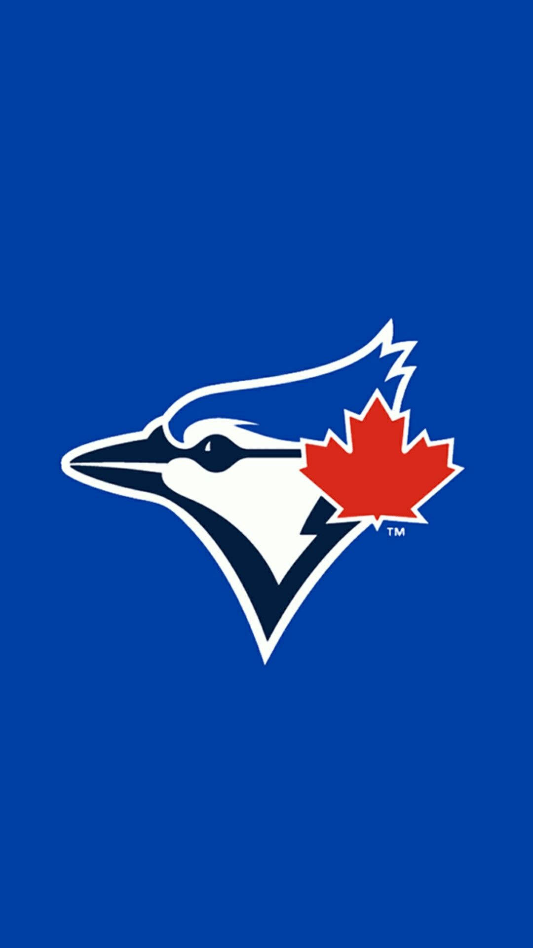 Blue Jay Wallpapers