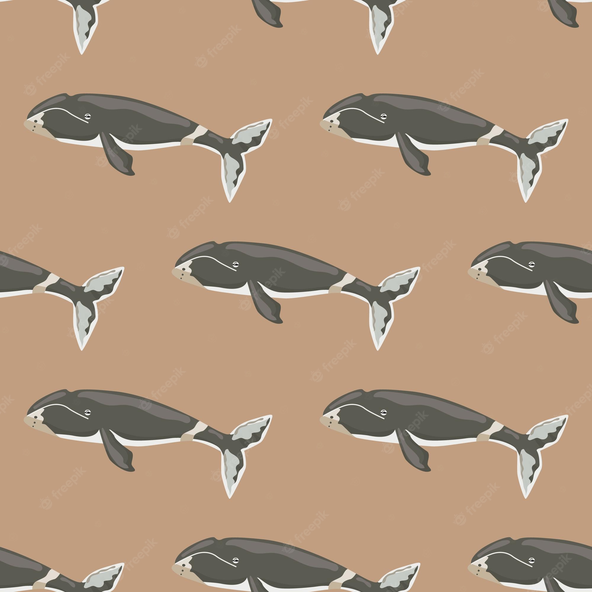 Bowhead Whales Wallpapers