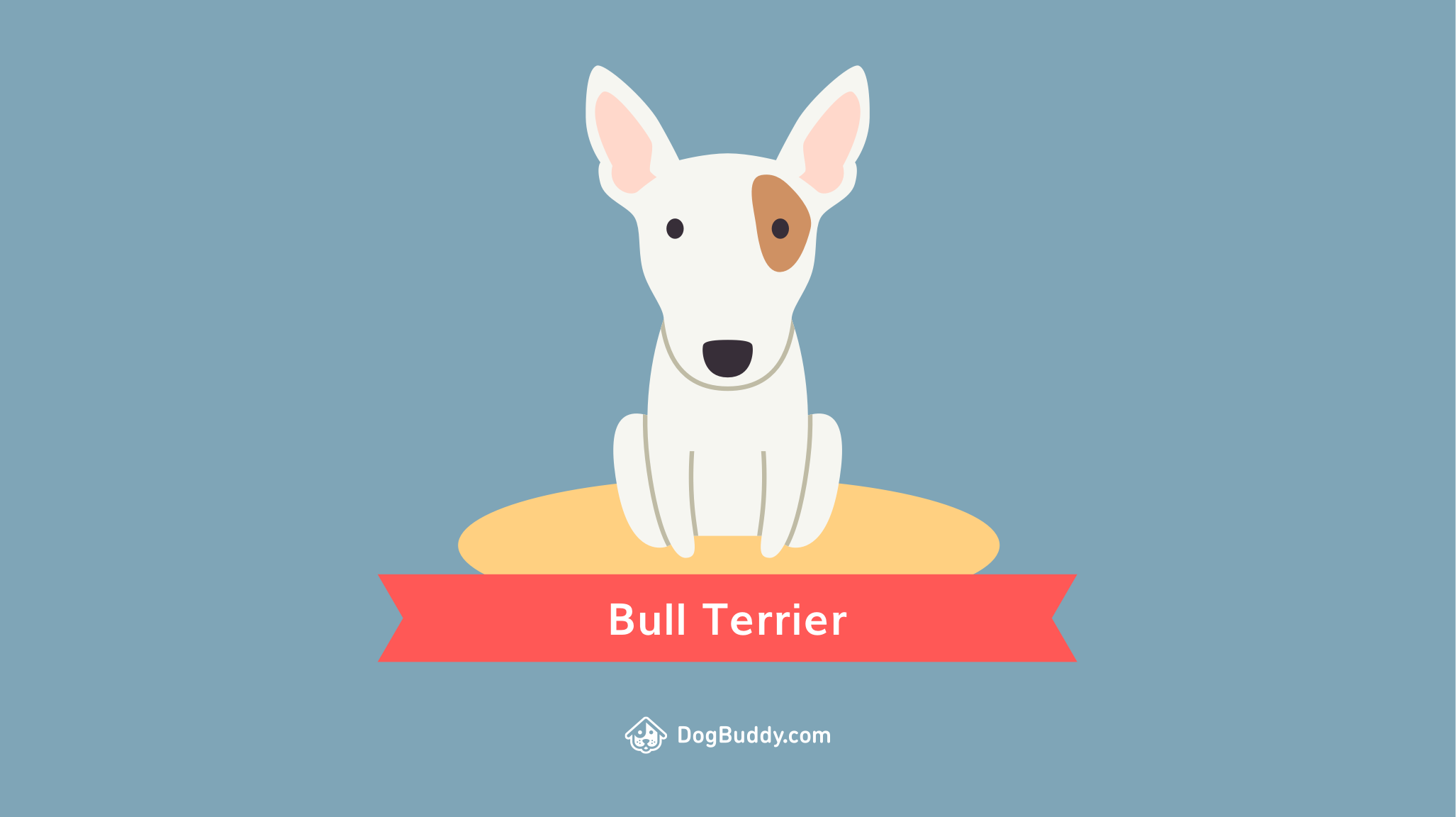 Bull Terrier Wallpapers