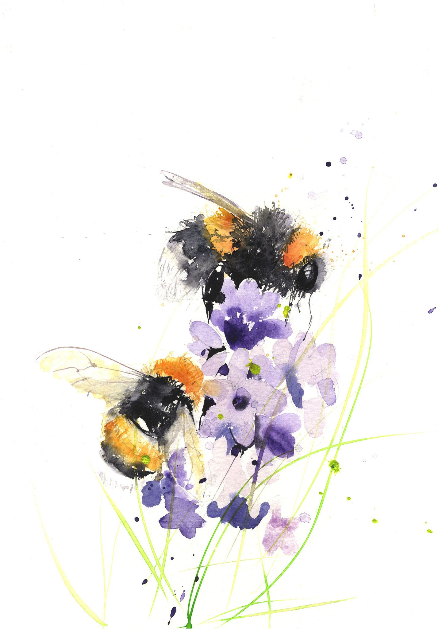 Bumblebee Insect Wallpapers