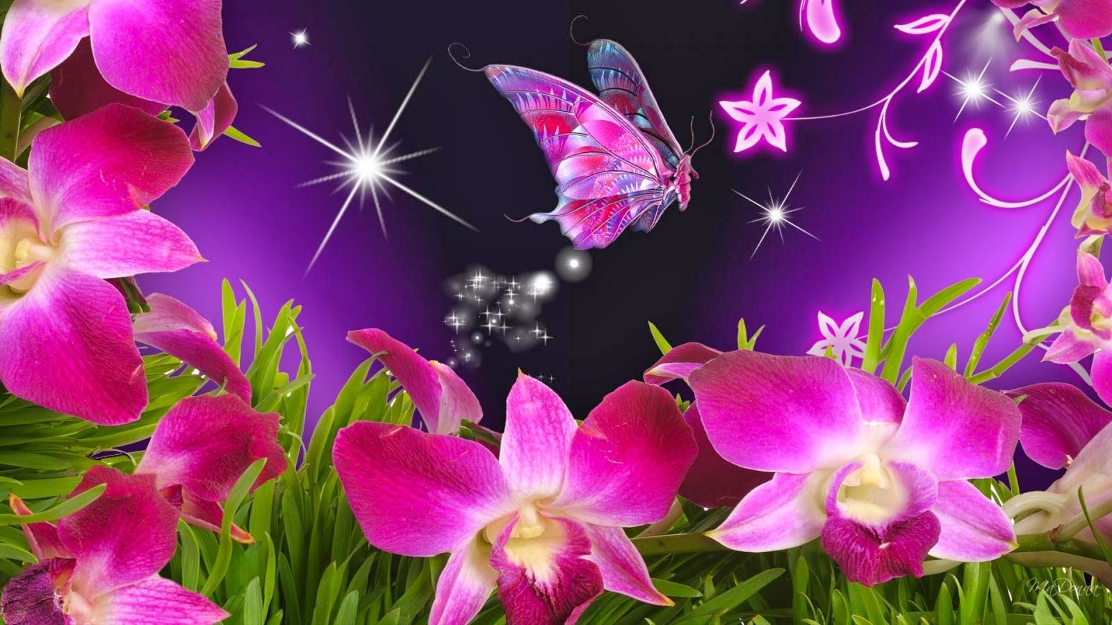 Butterflies Wallpapers