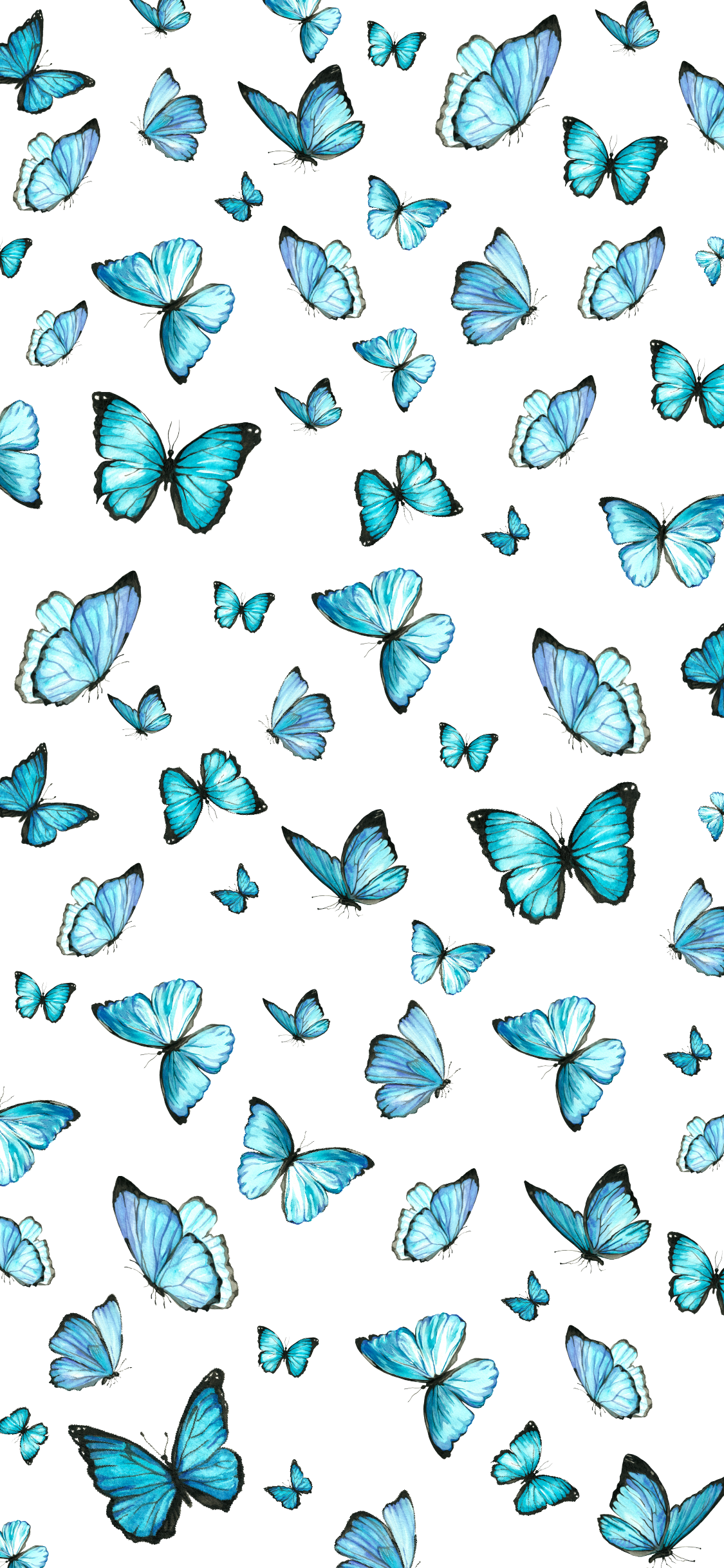 Butterflies Wallpapers