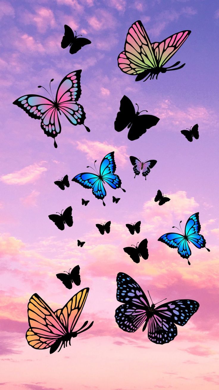 Butterfly Wallpapers