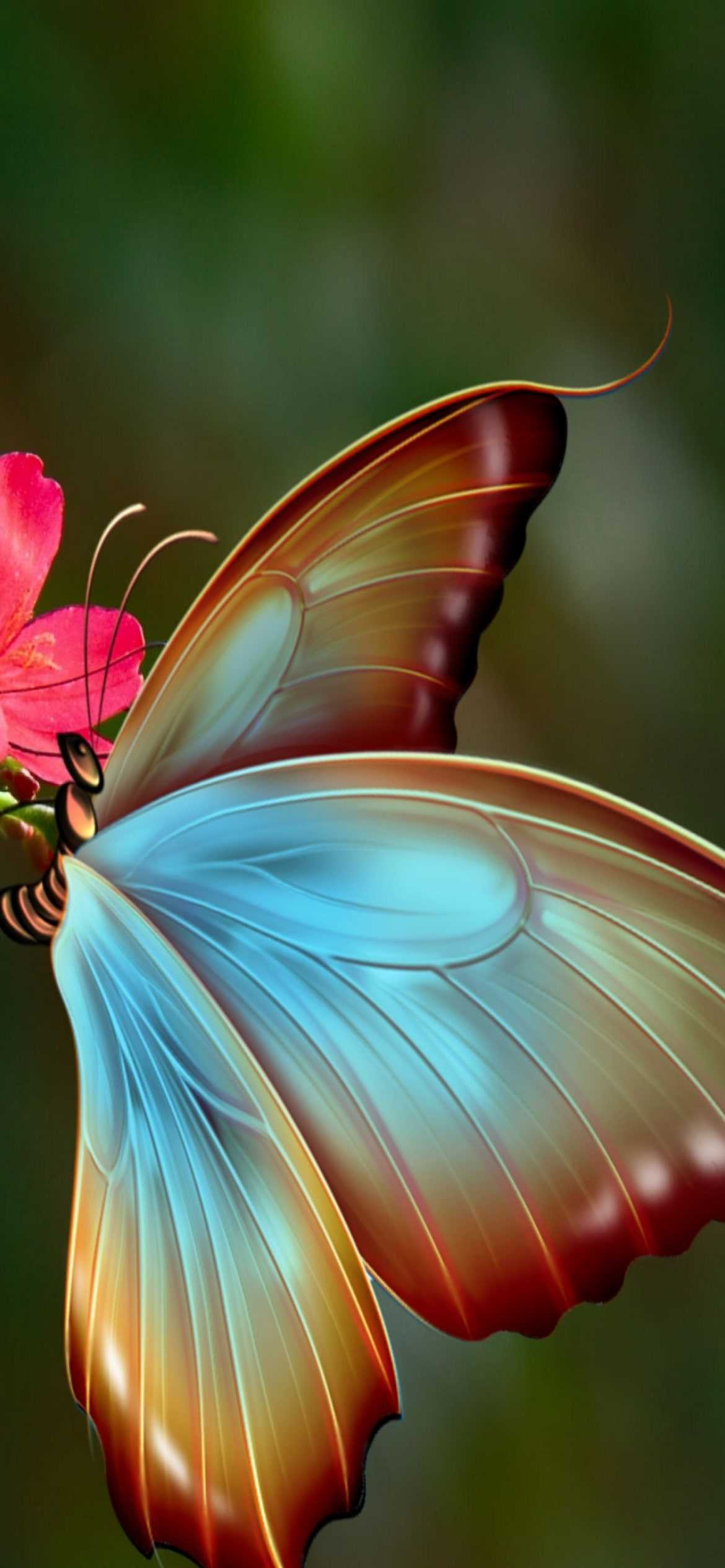 Butterfly Wallpapers