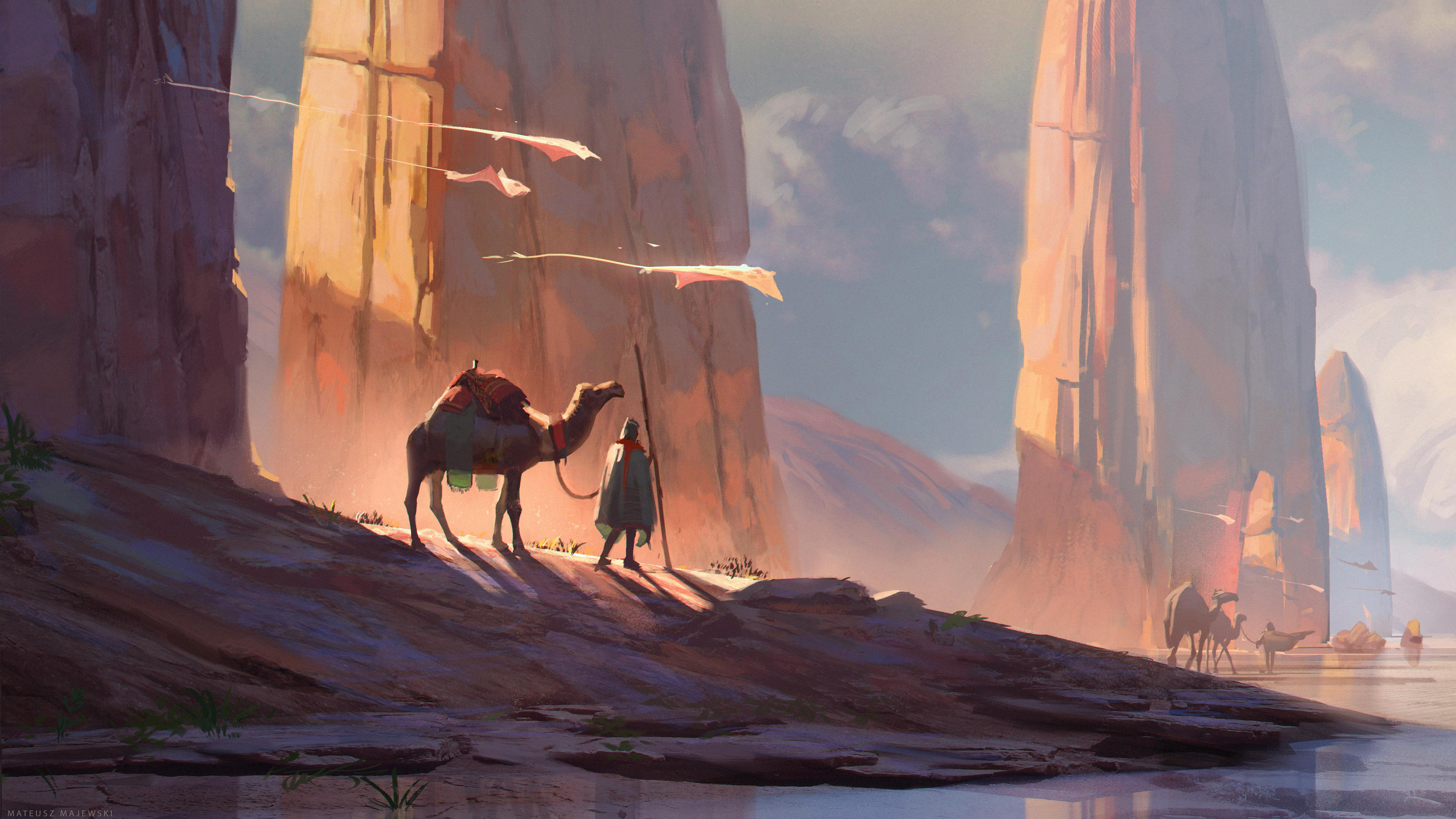 Camel Wallpapers