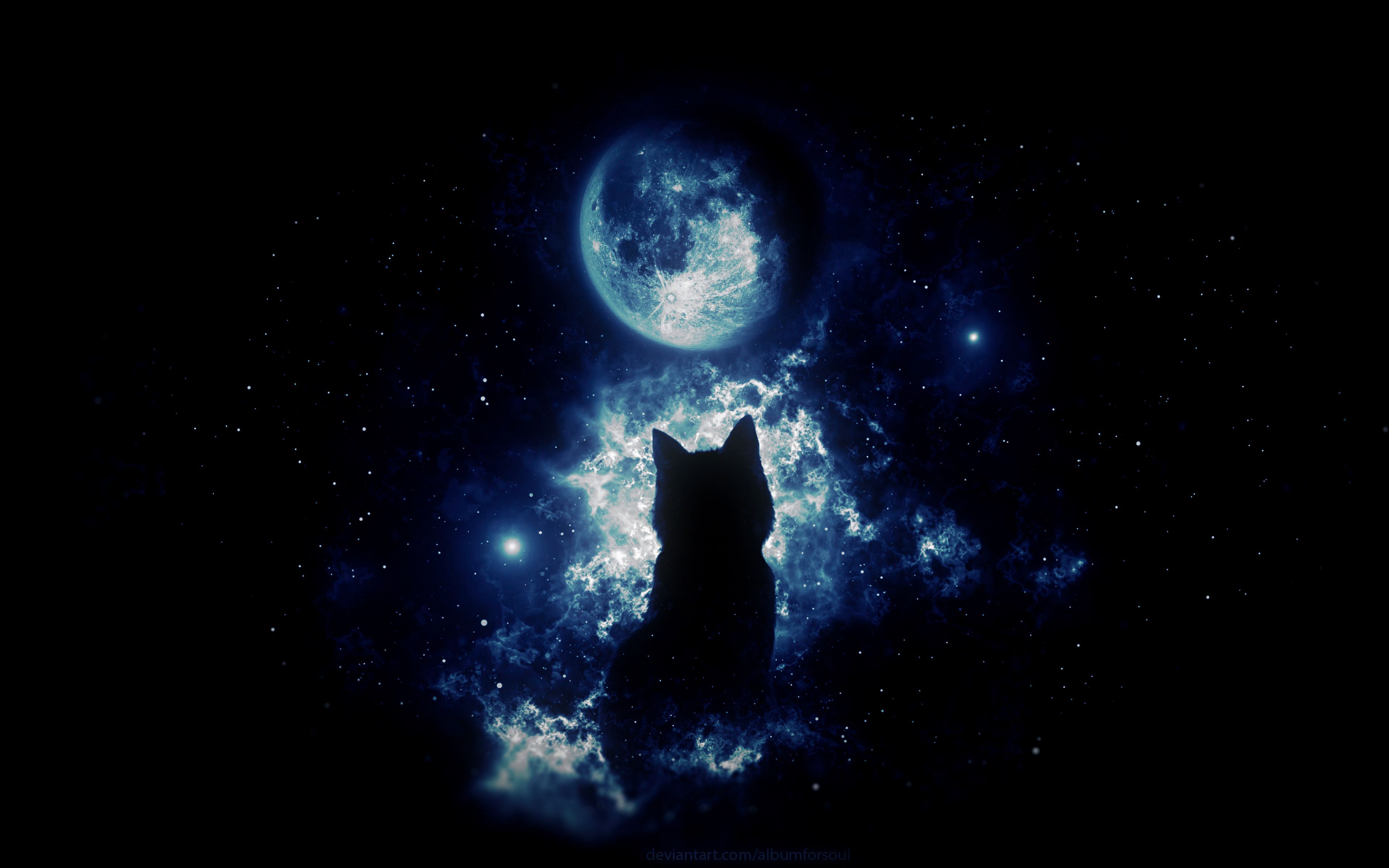 Cat And Moon Wallpapers