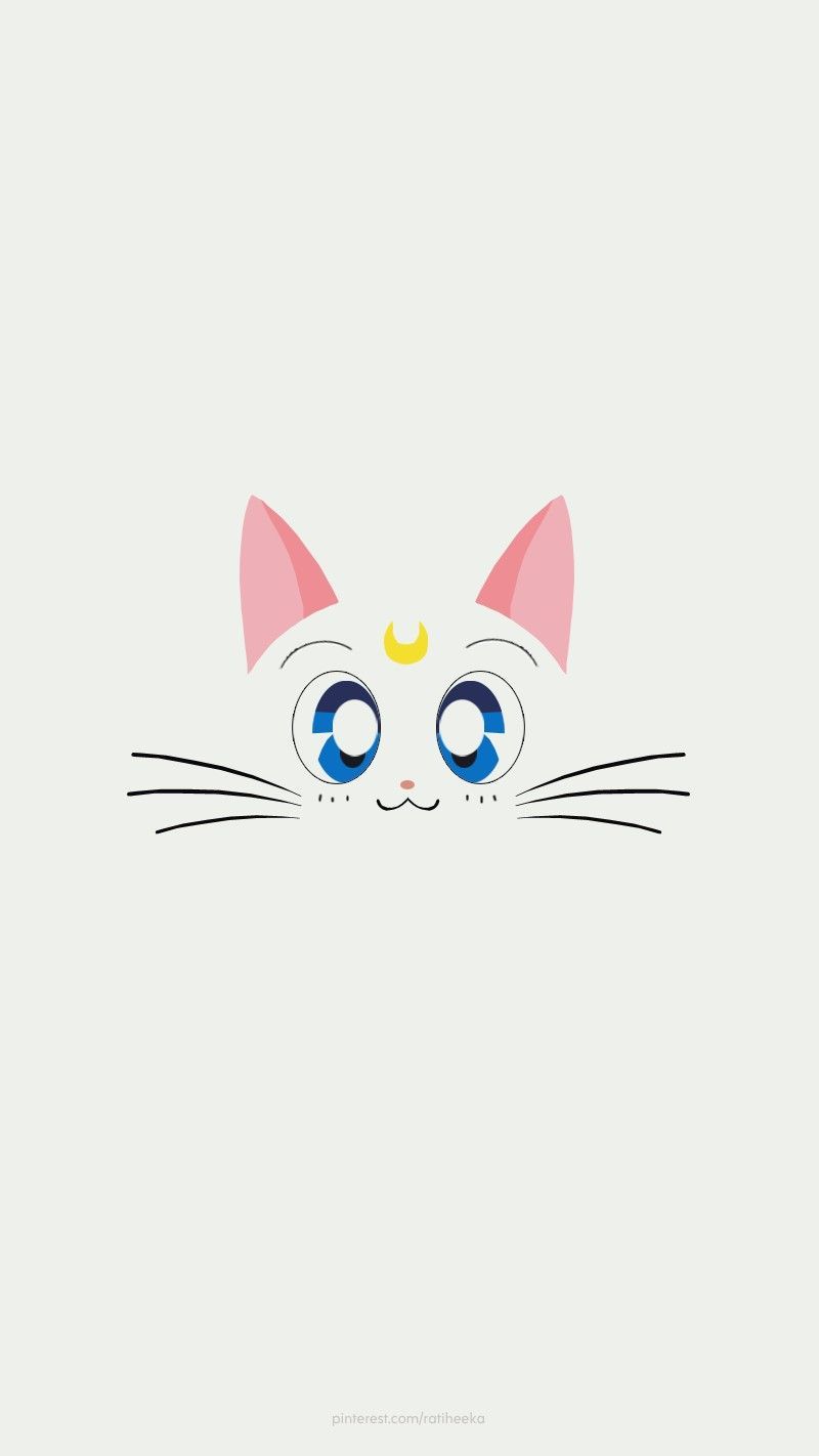 Cat And Moon Wallpapers