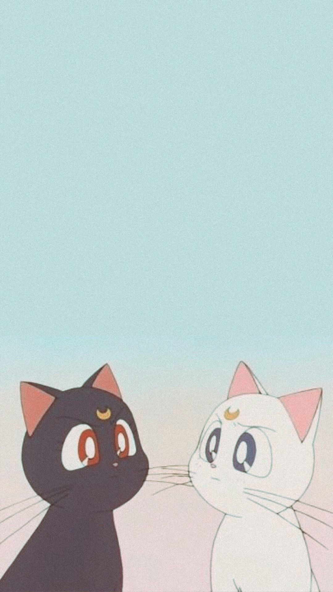 Cat And Moon Wallpapers