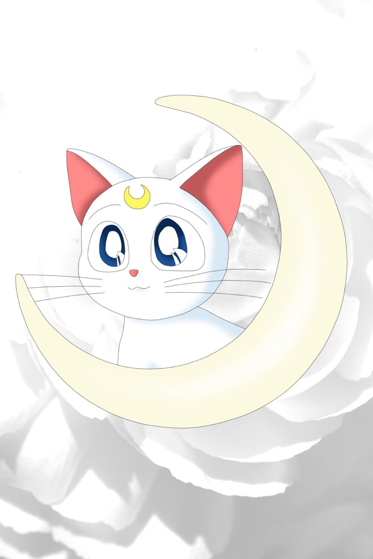 Cat And Moon Wallpapers