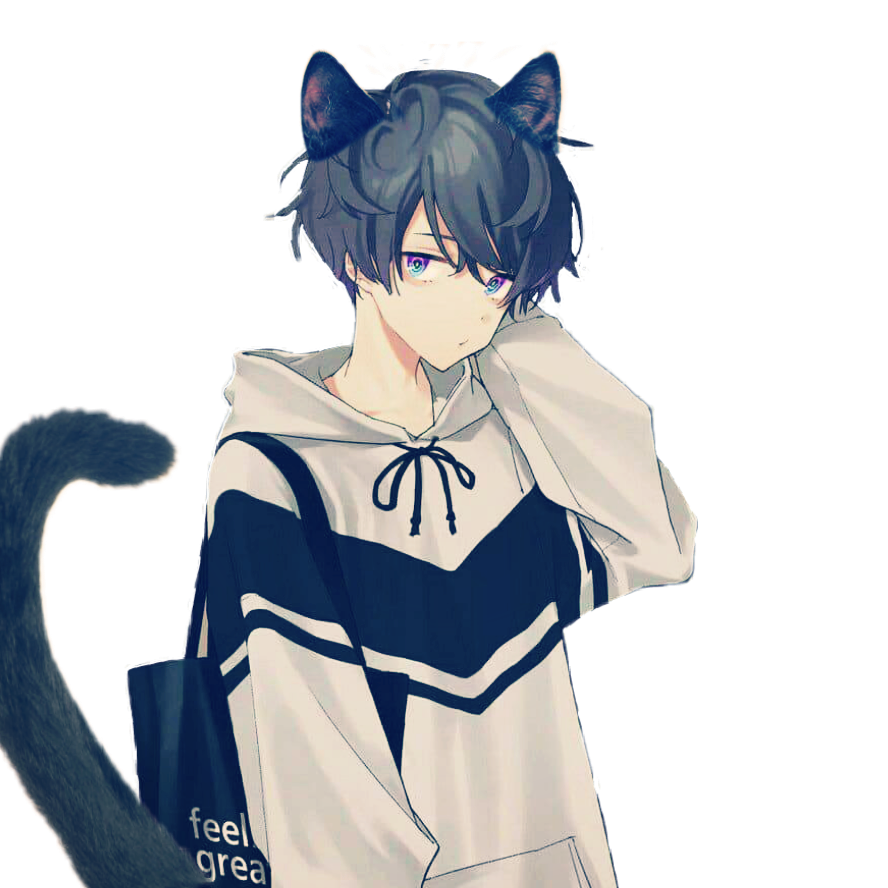 Cat Boy Anime Wallpapers