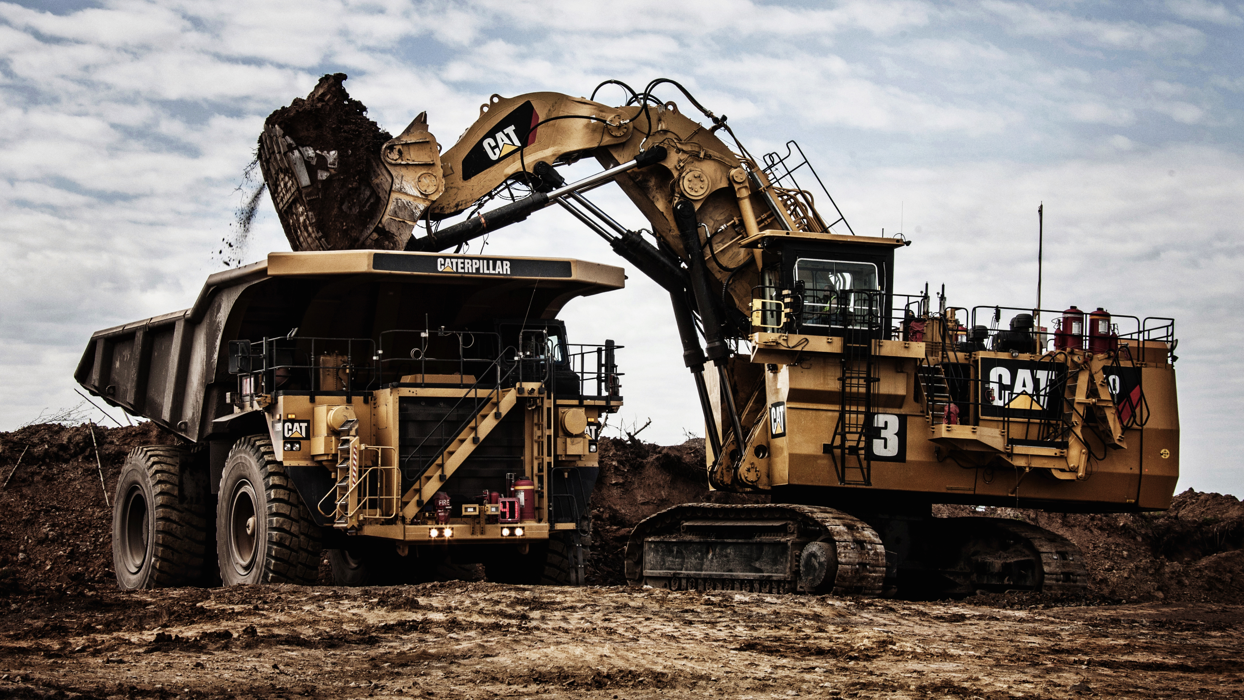 Cat Excavator Wallpapers