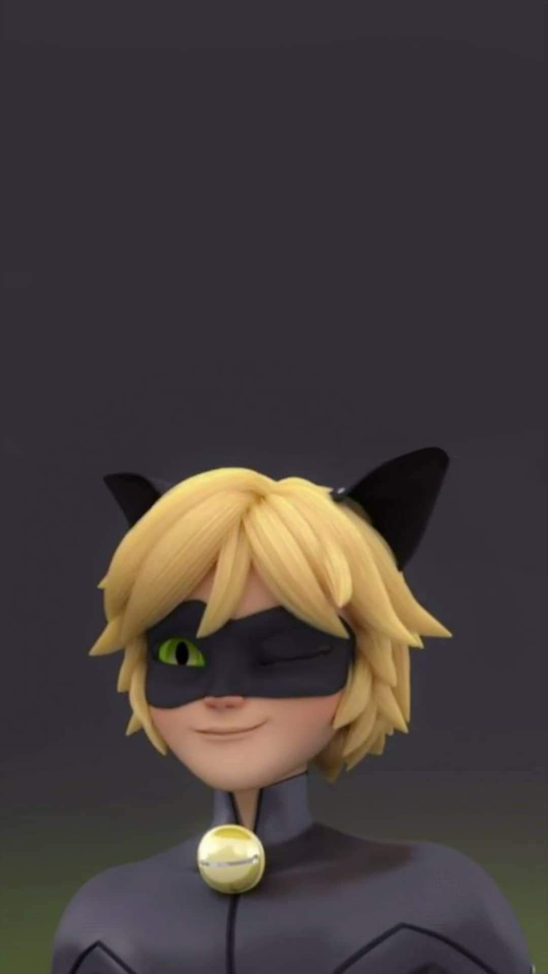 Cat Noir Wallpapers