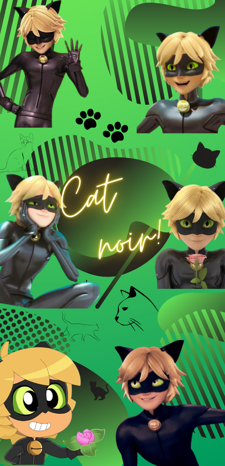 Cat Noir Wallpapers